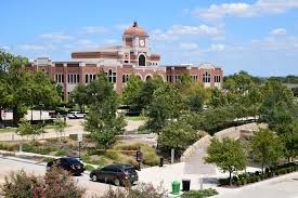 Artificial grass in Lewisville, TX